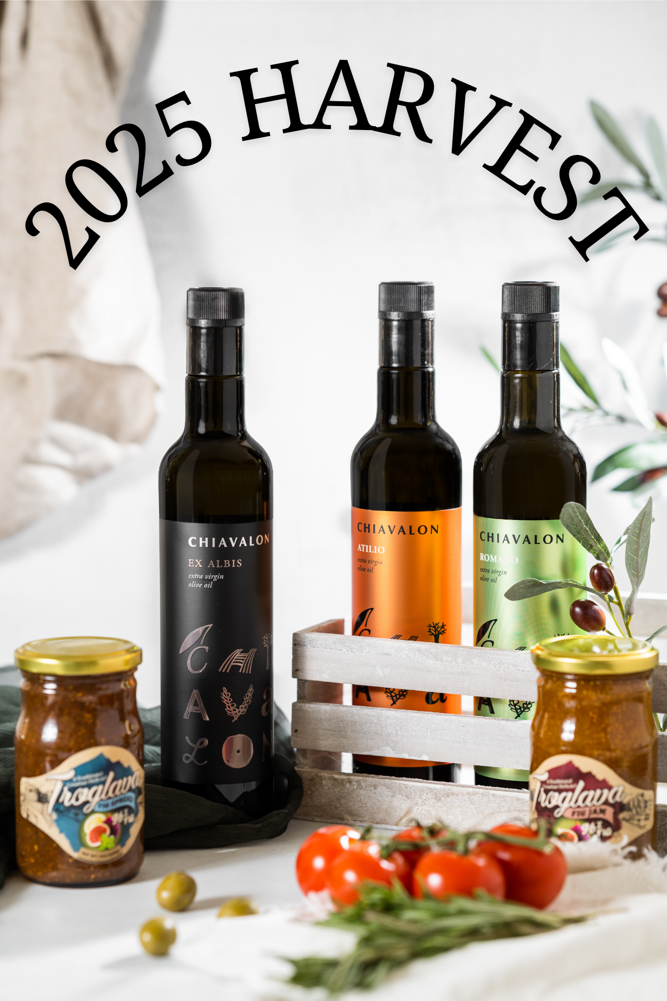 Croatian Ultimate Starter Pack/Gift Set