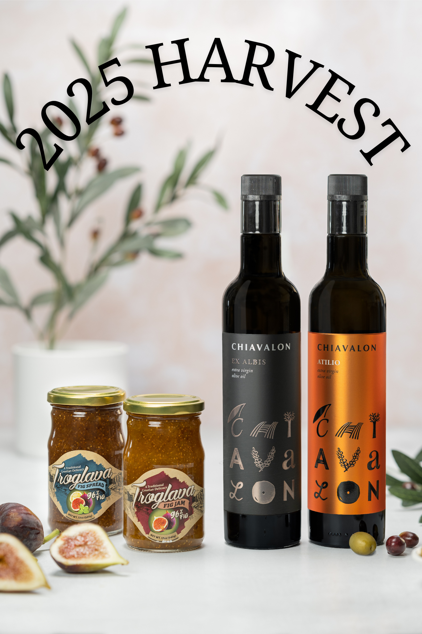 Croatian Delicacies Starter Pack/Gift Bundle Deluxe (with Atilio)