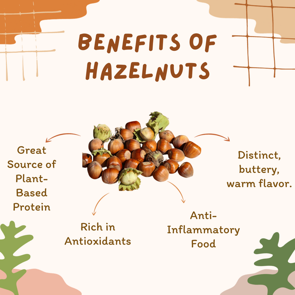 Raw Hazelnuts / Filberts (No Shell) Drusk Trading Company